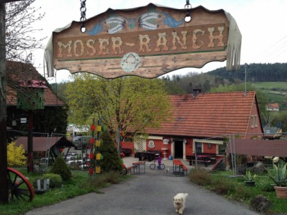 照片: Moserhof-Ranch Hinterstocken